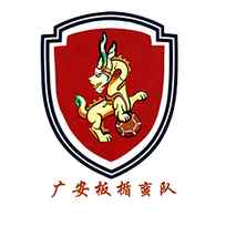 成都队